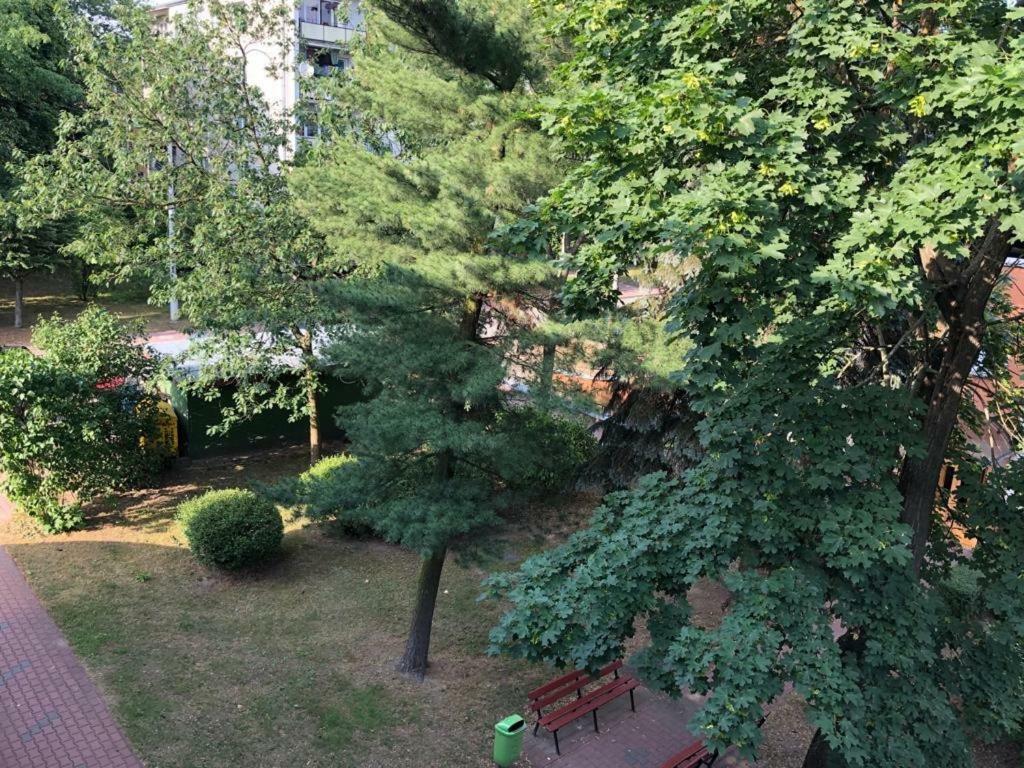Apartmán Chrobrego 269 Biała Podlaska Exteriér fotografie