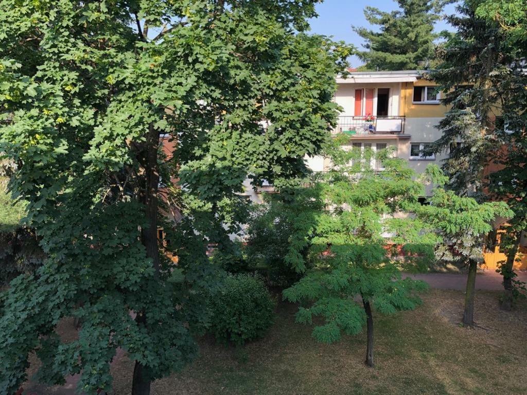 Apartmán Chrobrego 269 Biała Podlaska Exteriér fotografie
